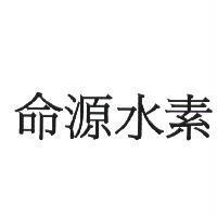 命源水素