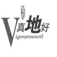 龍燈真地好 Vigourousoil 設計圖