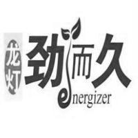 龍燈勁而久energizer 設計圖