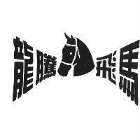 龍騰飛馬及圖
