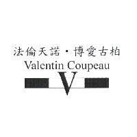 法倫天諾‧博愛古柏之黑白色條設計圖