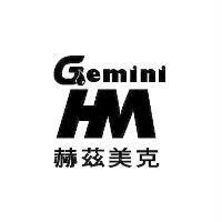 Gemini 赫茲美克及圖