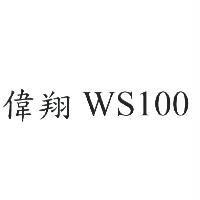 偉翔 WS100