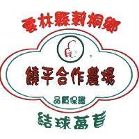 雲林縣莿桐鄉 饒平合作農場 品質保證 結球萵苣 及圖