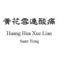 黃花雪連酸痛 Huang Hua Xue Lian Suan Tonq