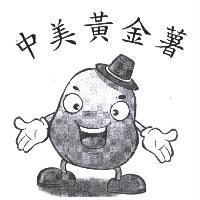 中美黃金薯及圖
