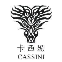 卡西妮 CASSINI 及圖