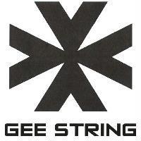 GEE STRING 設計圖