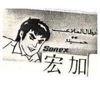 宏加及圖 SONEX 