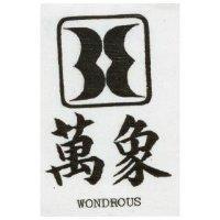 萬象 WONDROUS 及圖