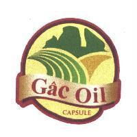 Gac Oil capsule 及圖