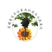 黃明勇古早味黃肉紅肉木瓜無屎味及圖