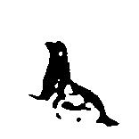 海狗圖 