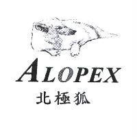 北極狐 ALOPEX 及圖