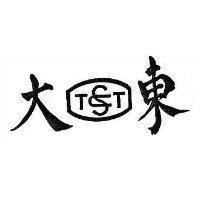 東大及圖 TT 
