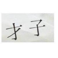 才子
