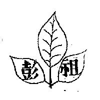 彭祖及圖