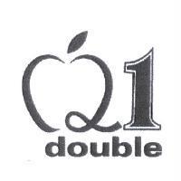double C21 及圖