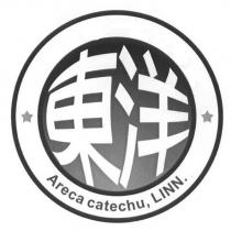 東洋 Areca catechu,LINN.及圖