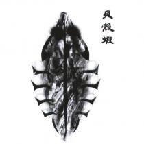 貝殼蝦及圖