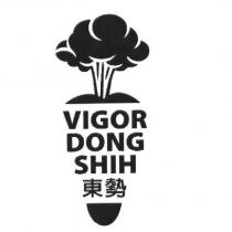 東勢 VIGOR DONG SHIH 及圖