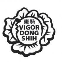 東勢 VIGOR DONG SHIH 及圖