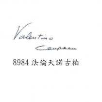 法倫天諾古柏 8984 設計圖