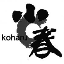 小春 koharu 及圖