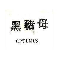 黑豬母 OPTLMUS 