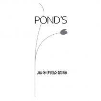 POND'S 黑米卸妝慕絲及設計圖