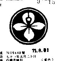 白蘭花圖形