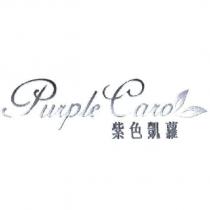 紫色凱蘿及 PURPLE CAROL 設計圖