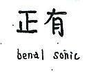正有 BENAL SONIC 