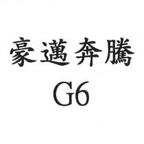 豪邁奔騰 G6