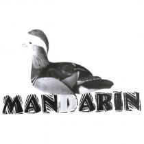 MANDARIN 鴛鴦設計圖