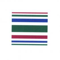 TENARIS 5-Coloured Band Device