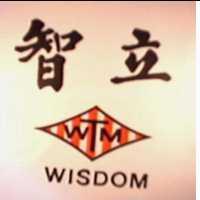 智立及圖 WISDOM 
