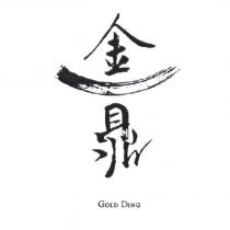 金鼎 GOLD DING 設計圖