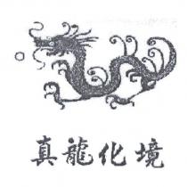 真龍化境及圖