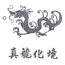 真龍化境及圖