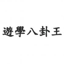 遊學八卦王