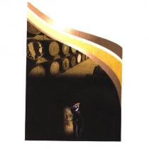 啄木鳥整體