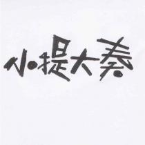 小提大奏