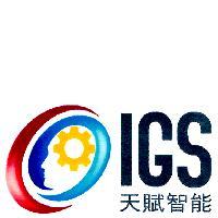 IGS 天賦智能 logo 及圖