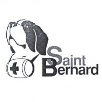 SAINT BERNARD 及圖
