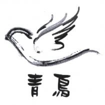 青鳥及設計圖