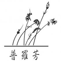 普羅芳及圖