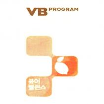 VB PROGRAM 及圖