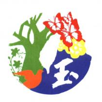 玉及圖