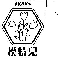 模特兒及圖